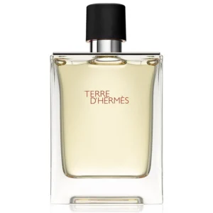 Terre D’hermes | Bărbați, 100 ML